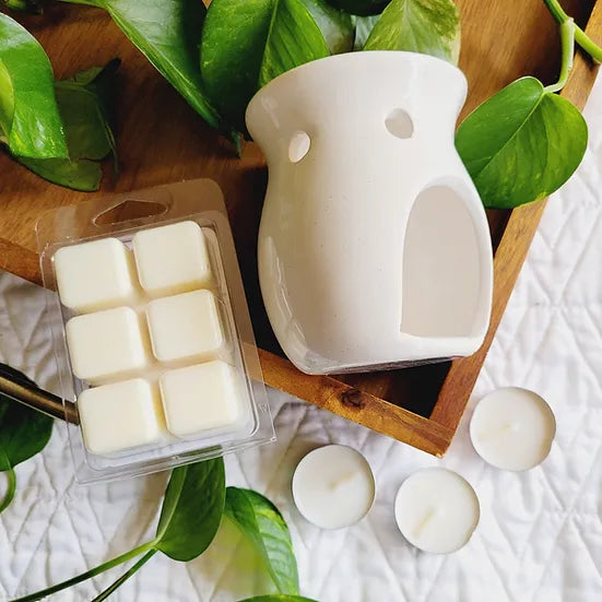 Coconut Sunshine Wax Melt